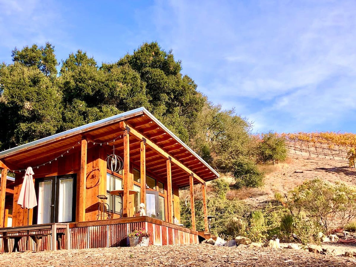 best airbnbs near wineries - Vineyard cabin in Paso Robles