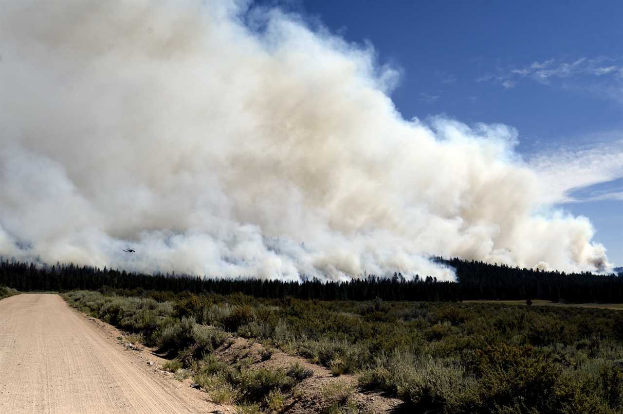 DOYLE, CALIFORNIA, USA - JULY 12: A general view of the northeastern flank of the Sugar Fire as it continues to show active fire behavior in Doyle, California, United States on July 12, 2021. Firefighters were able to bring the containment up to 26% by the late afternoon. The Fire is currently at 91,200 acres. (Photo by Neal Waters/Anadolu Agency via Getty Images)