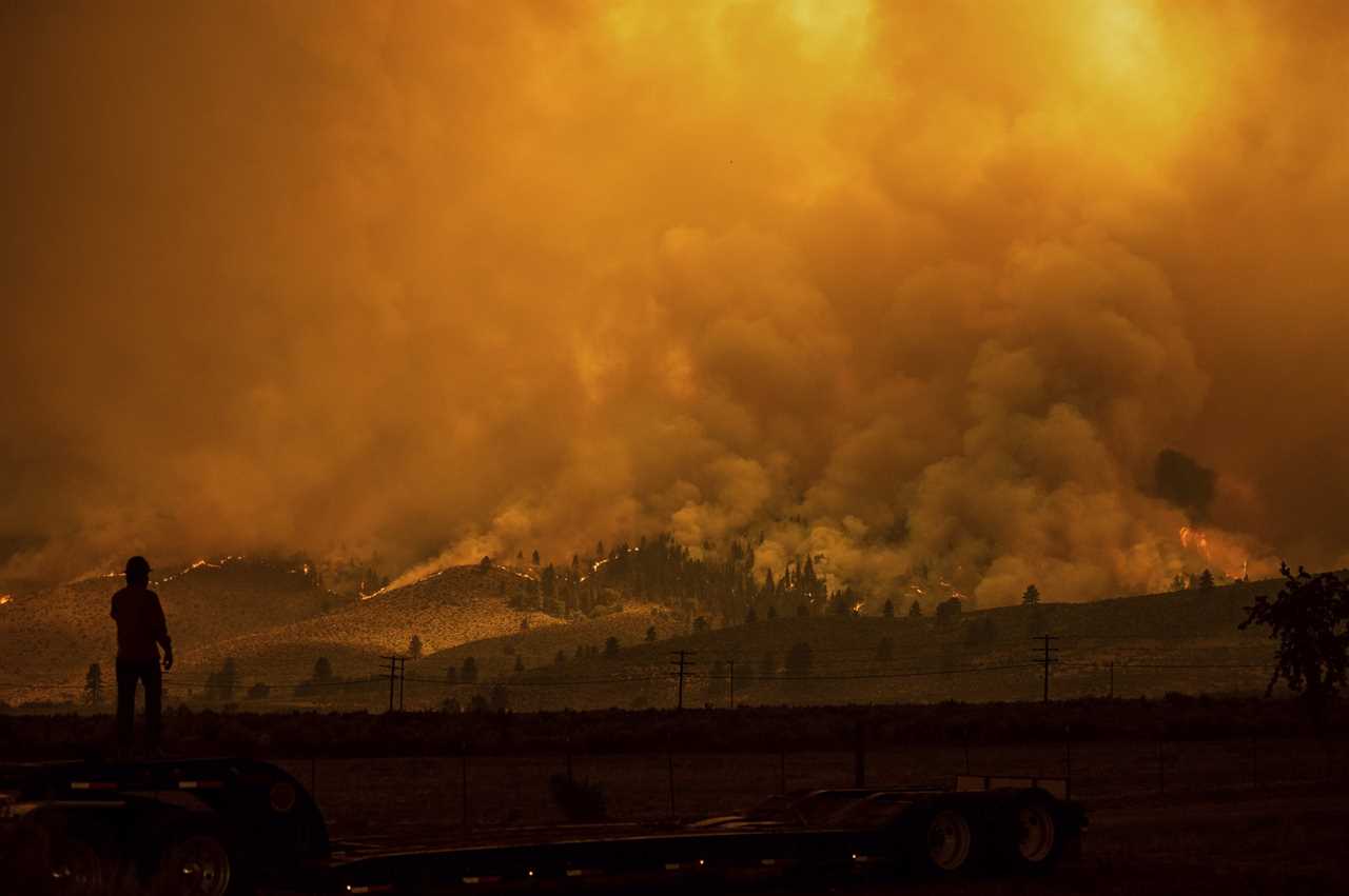 A truck driver who hauls fire equipment watches as the Sugar Fire, part of the Beckwourth Complex Fire, burns in Doyle, Calif., on Saturday, July 10, 2021. (AP Photo/Noah Berger)