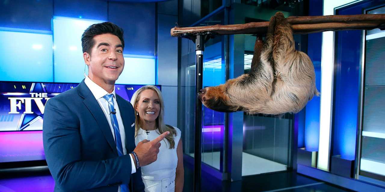 Fox News hosts Jesse Watters (left) and Dana Perino (right).