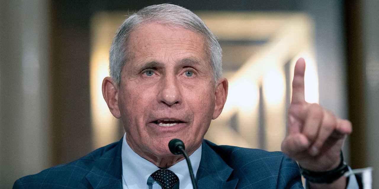 Dr. Anthony Fauci, director of the National Institute of Allergy and Infectious Diseases, testifies before the Senate Health, Education, Labor, and Pensions Committee at the Dirksen Senate Office Building in Washington on Tuesday, July 20, 2021.