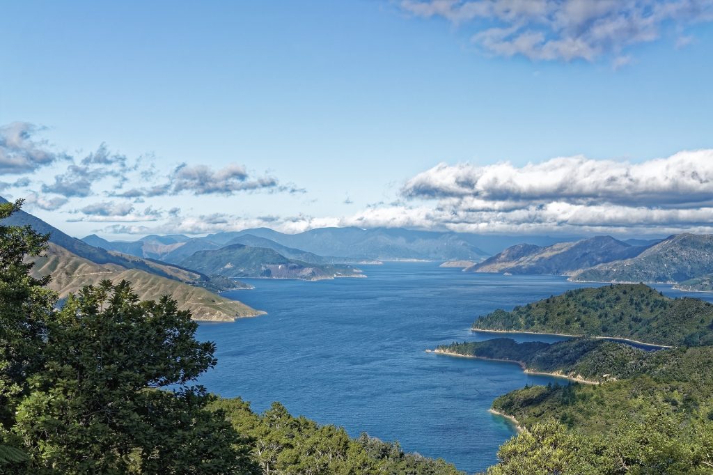 You Won’t Regret Your Holiday in Fitzroy Island— Here’s Why