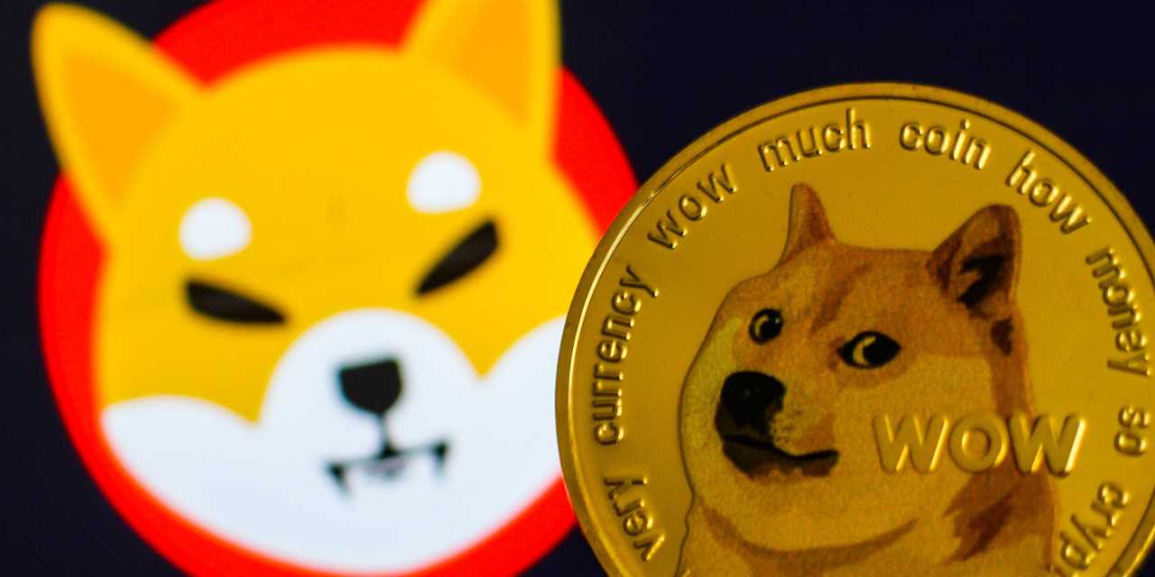 Representation of a Dogecoin cryptocurrency is seen alongside a Shiba Inu cryptocurrency logo