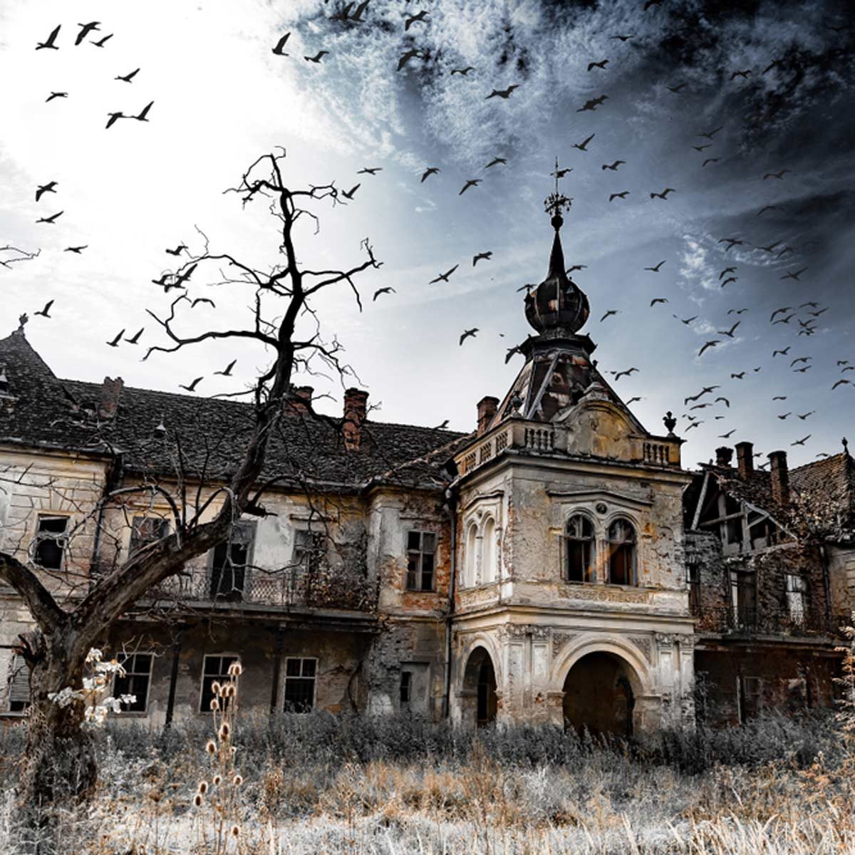 50 Abandoned Houses That Would Look Great Restored