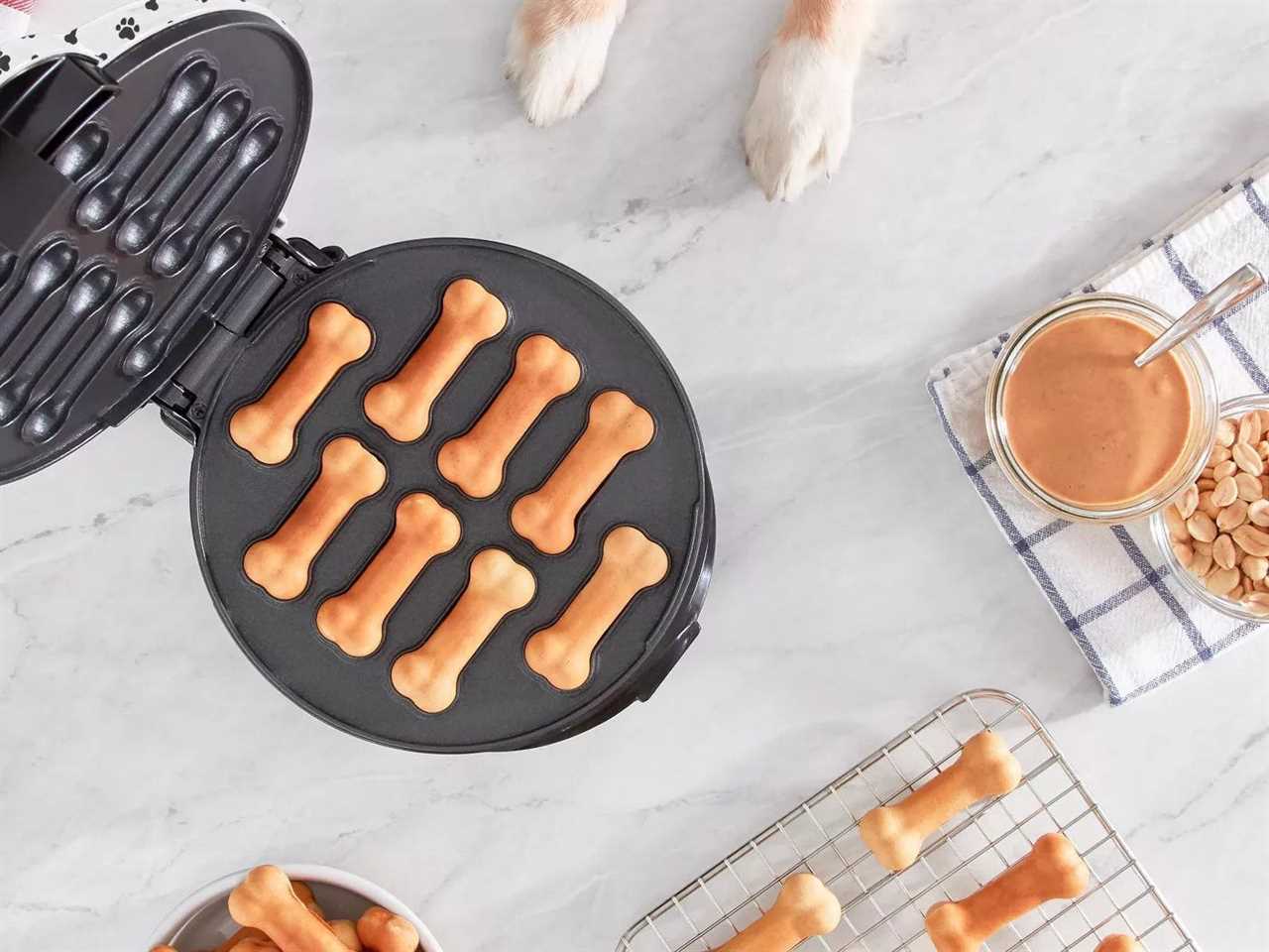 dash express dog treat maker is one of best gifts for dog lovers