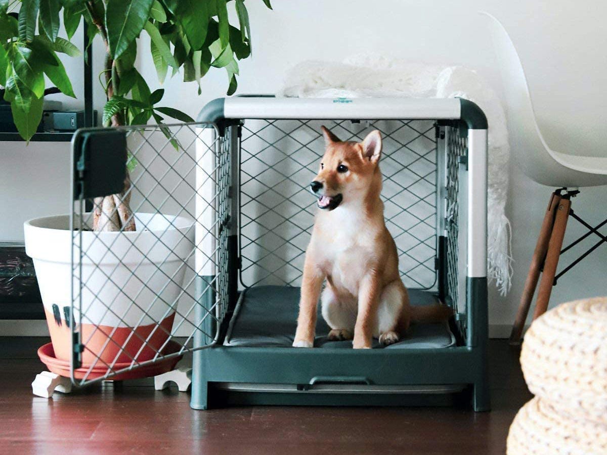 diggs revol dog crate