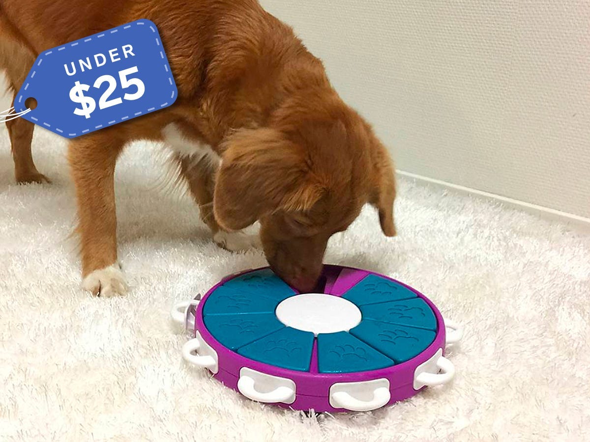 Nina Ottosson Dog Twister Dog Puzzle under $25