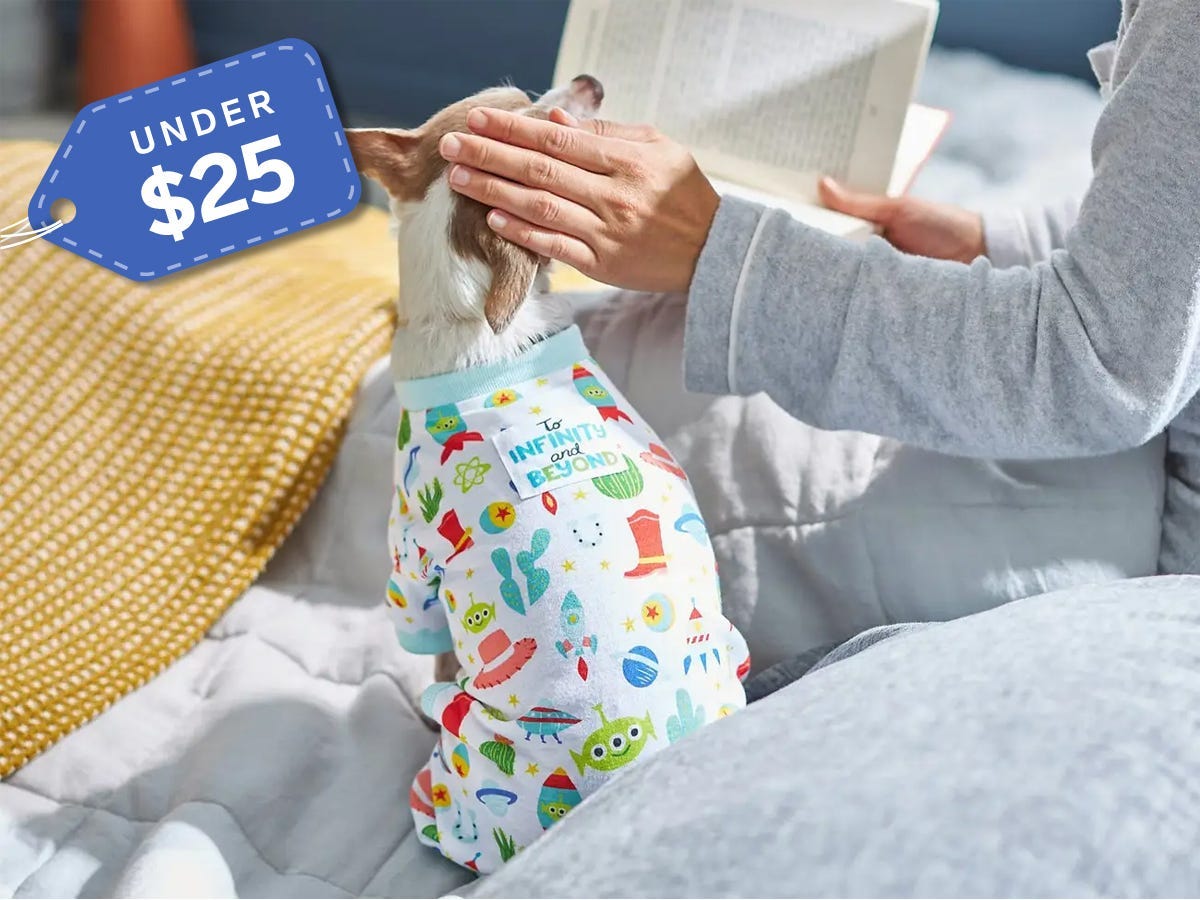 Toy Story dog pajamas