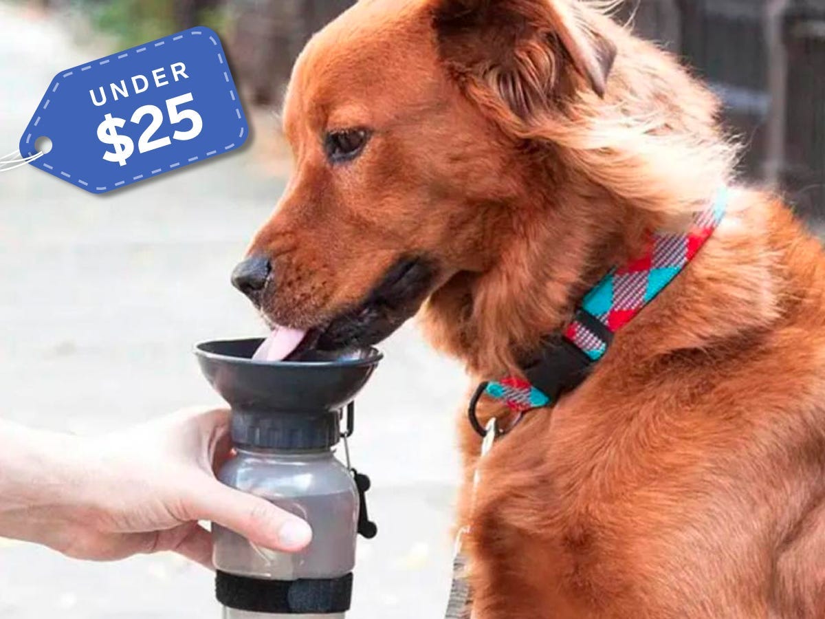 Dog Bowl Water Bottle under $25