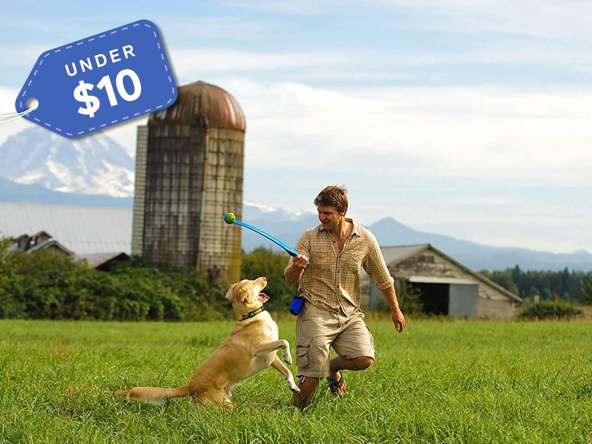 Dog lovers gifts ChuckIt