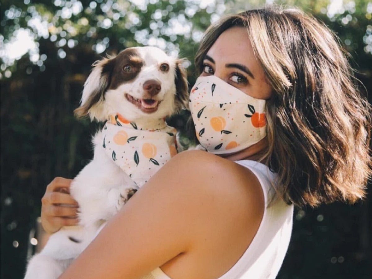 dog_bandana_face_mask Goodboy