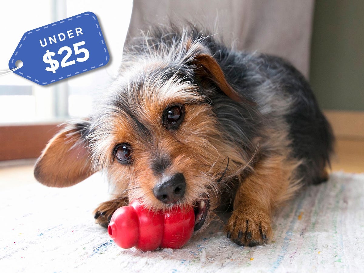 Kong Classic under $25