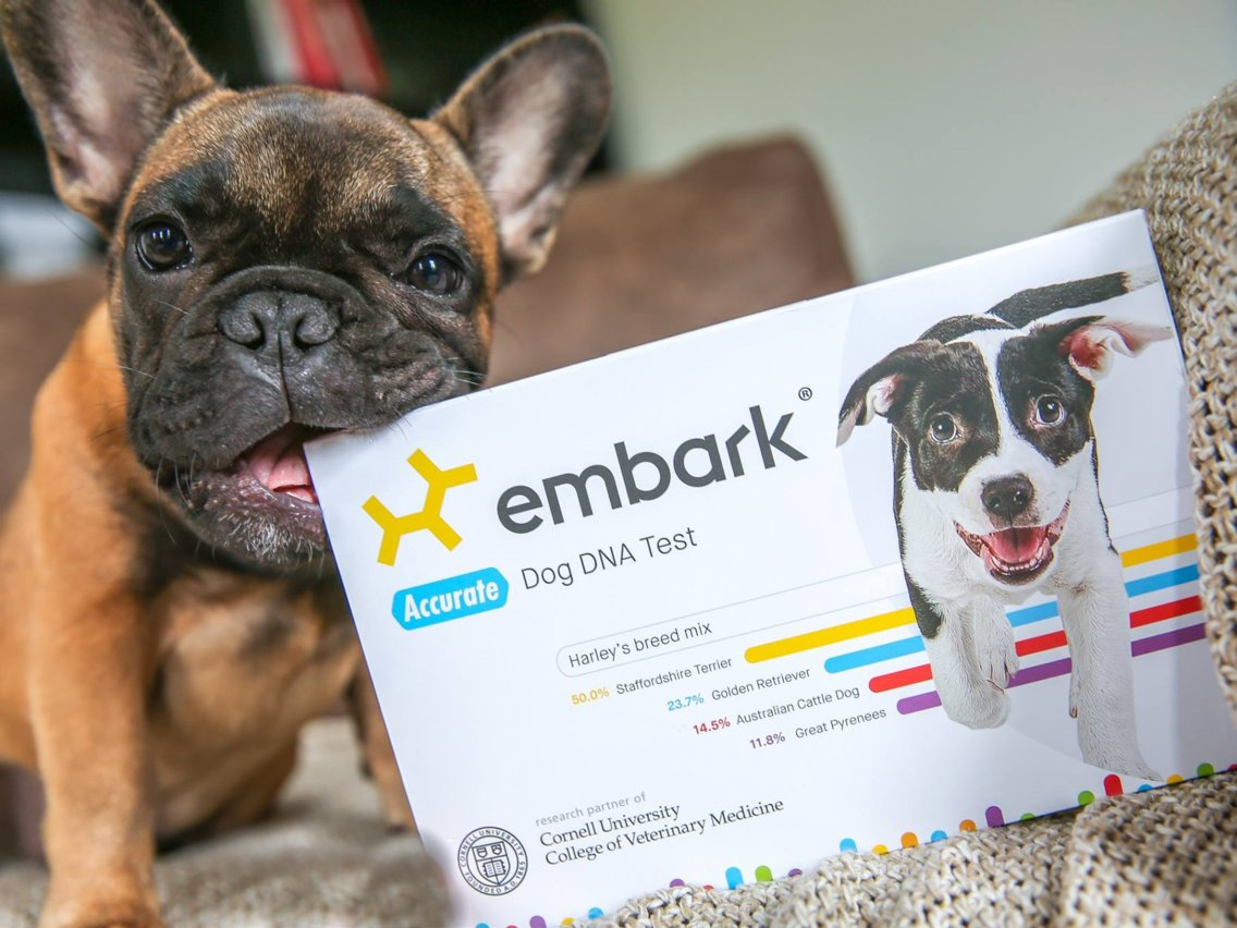 embark dna test