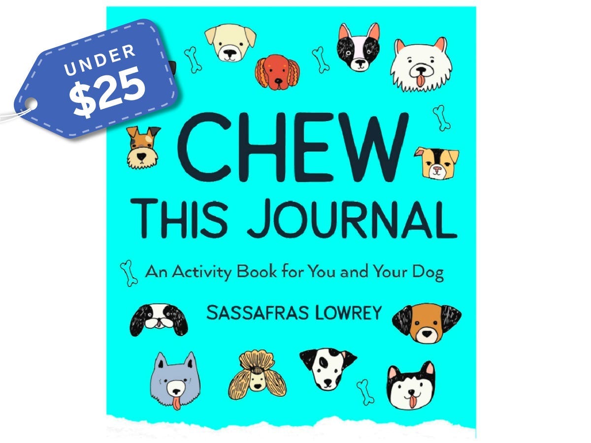 chew this journal Amazon under $10