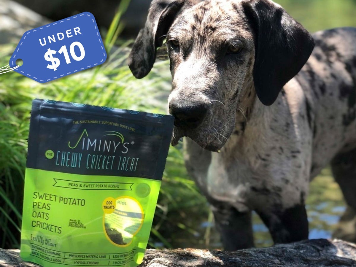 jiminys cricket dog treats Chewy under $10