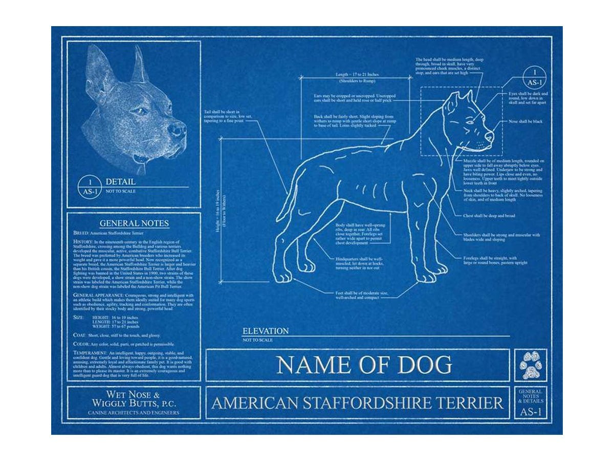 dog_blueprint Etsy