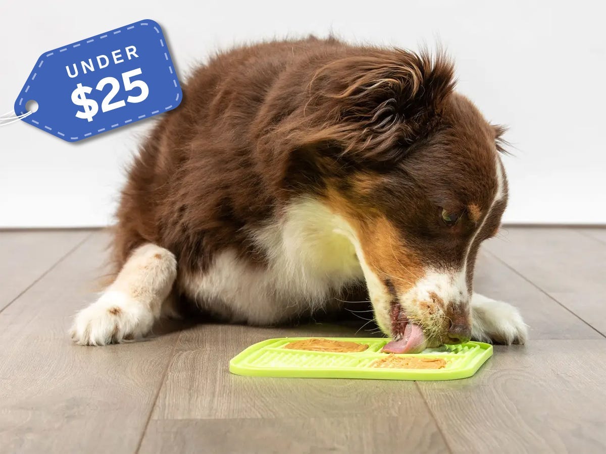 Gifts for dog lovers Hyper Pet IQ Treat Mat