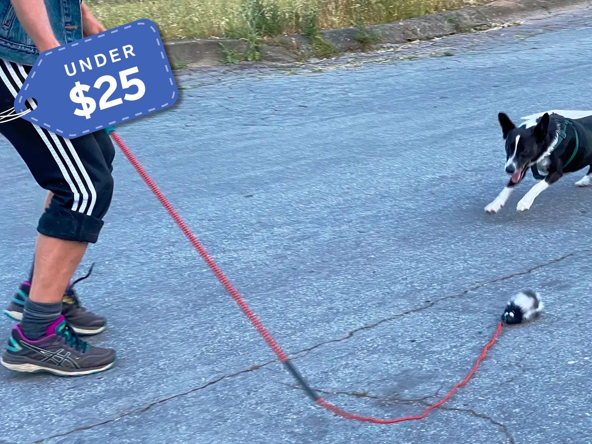 Outward Hound's Tail Teaser Dog Flirt Pole under $25