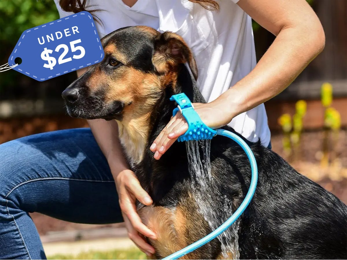 Gifts for dog lovers Aquapaw