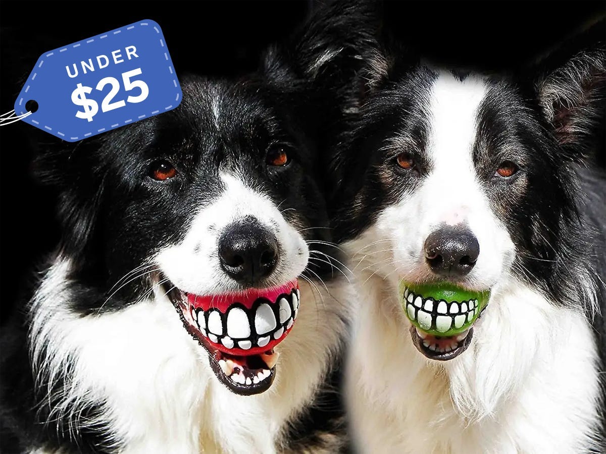 Gifts for dog lovers Rogz Grinz Treat Ball