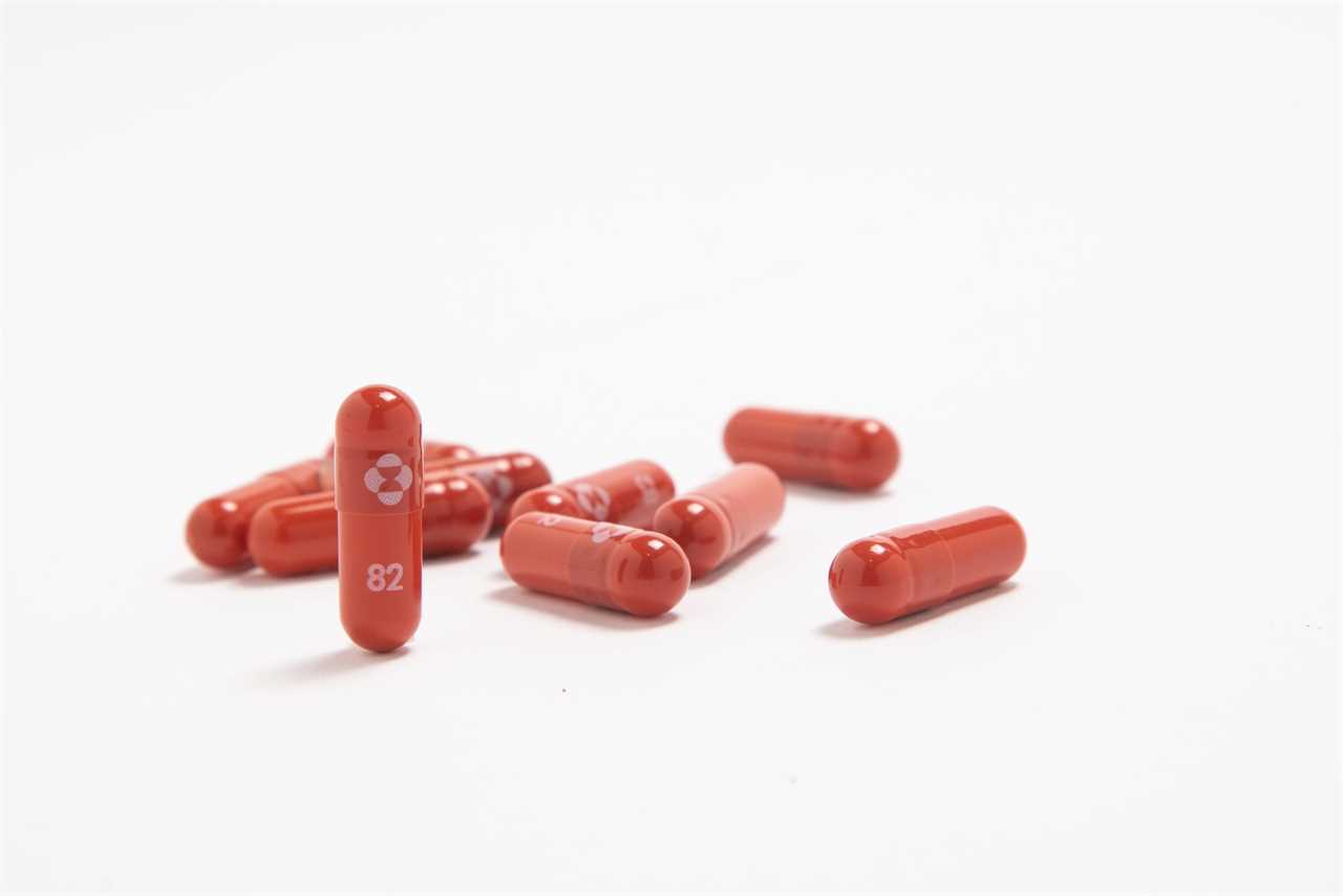 Capsules of molnupiravir, an antiviral drug developed by Merck and Ridgeback Biotherapeutics that could treat COVID-19