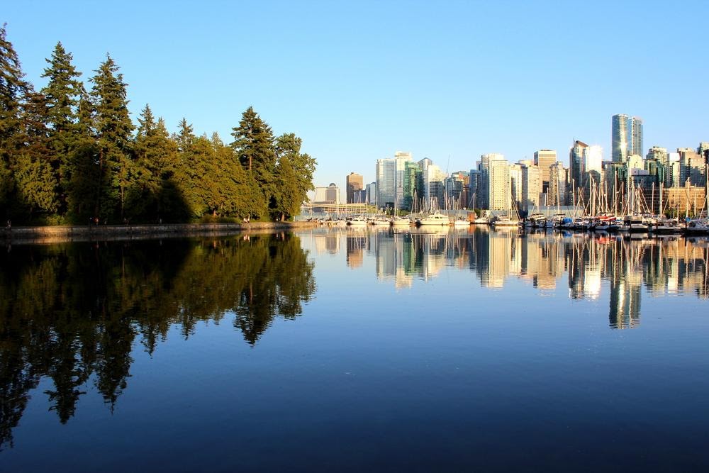 How to Connect with Nature No Matter Where You Live