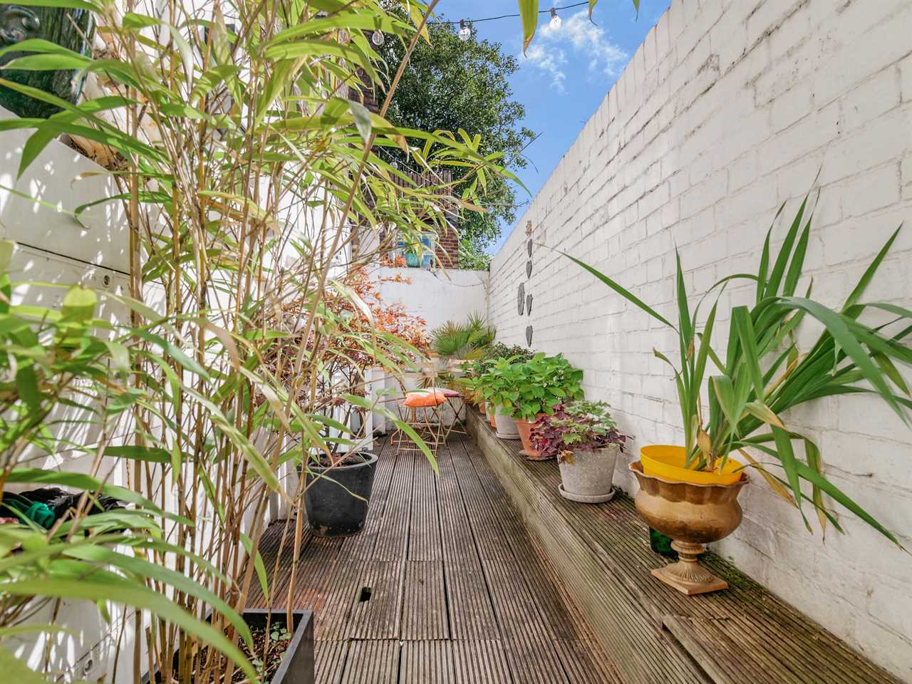 London's "thinnest" house gardens