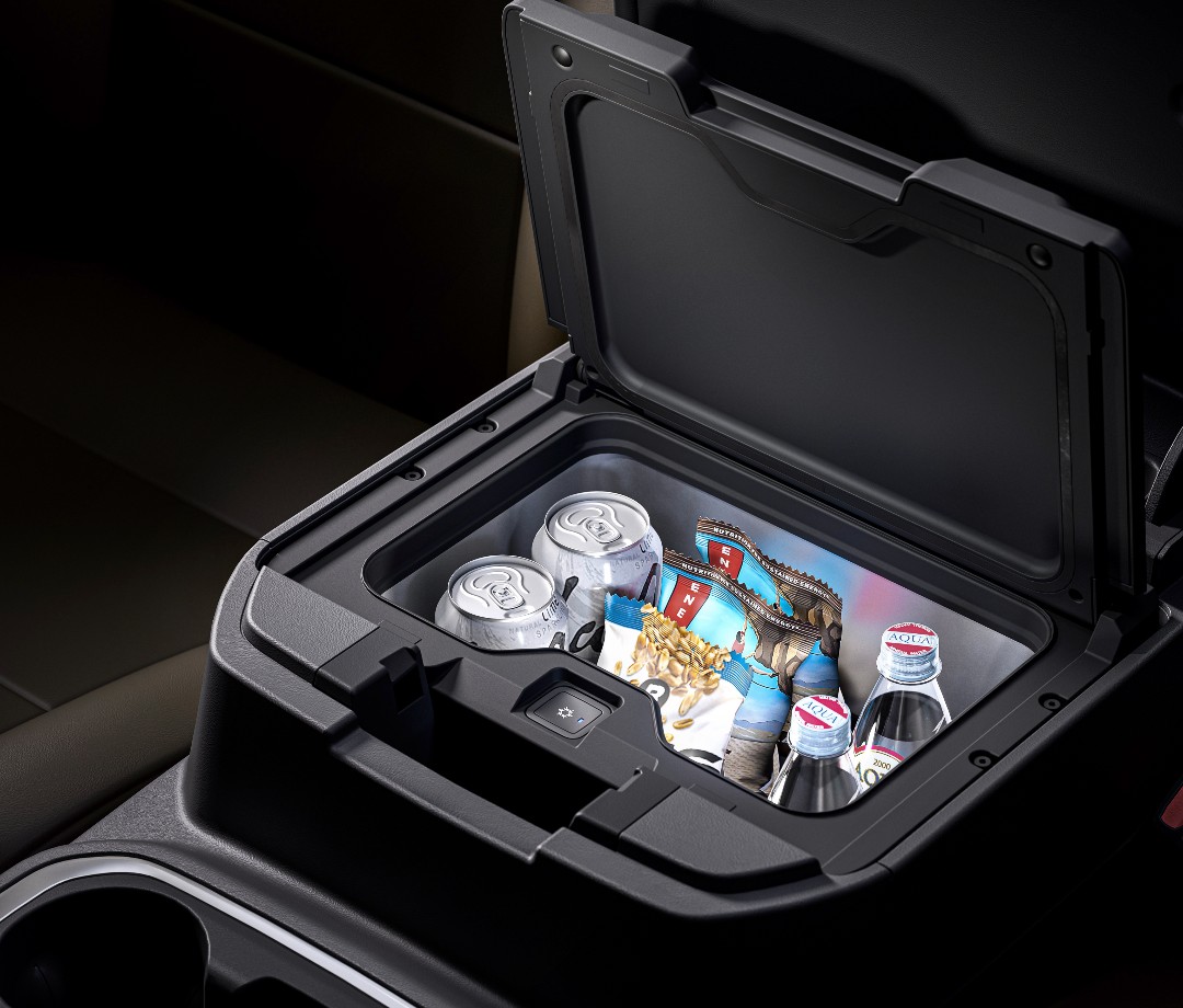 Center console cooler