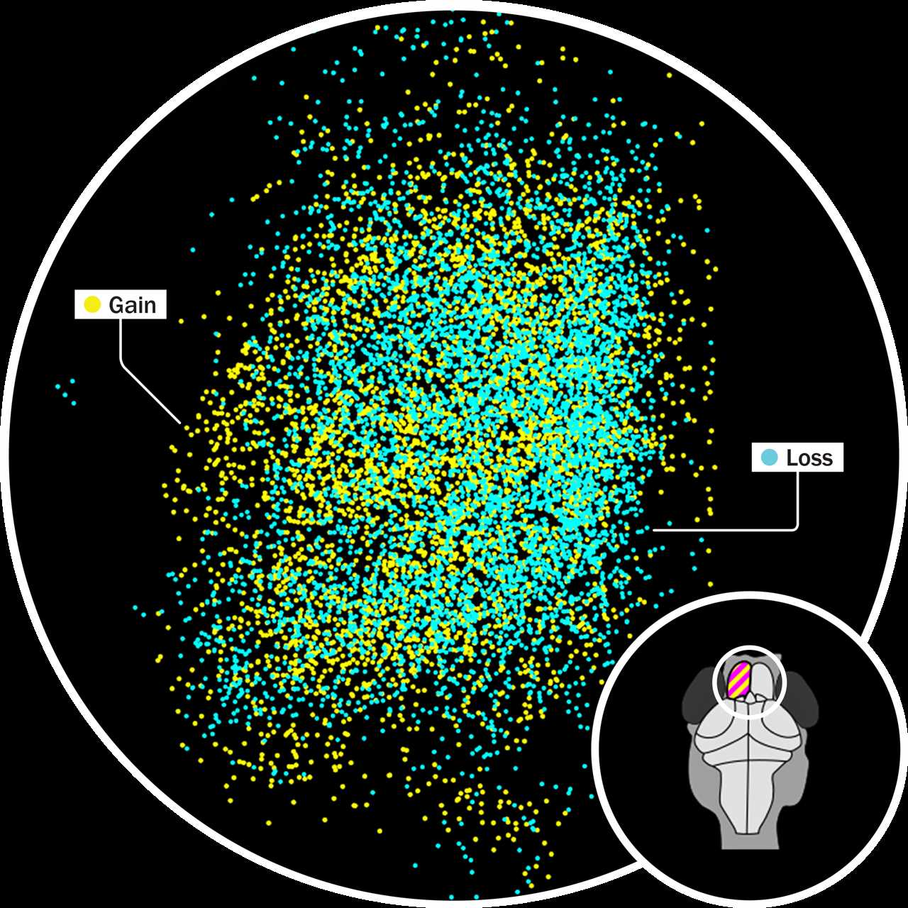 The New Science of Forgetting