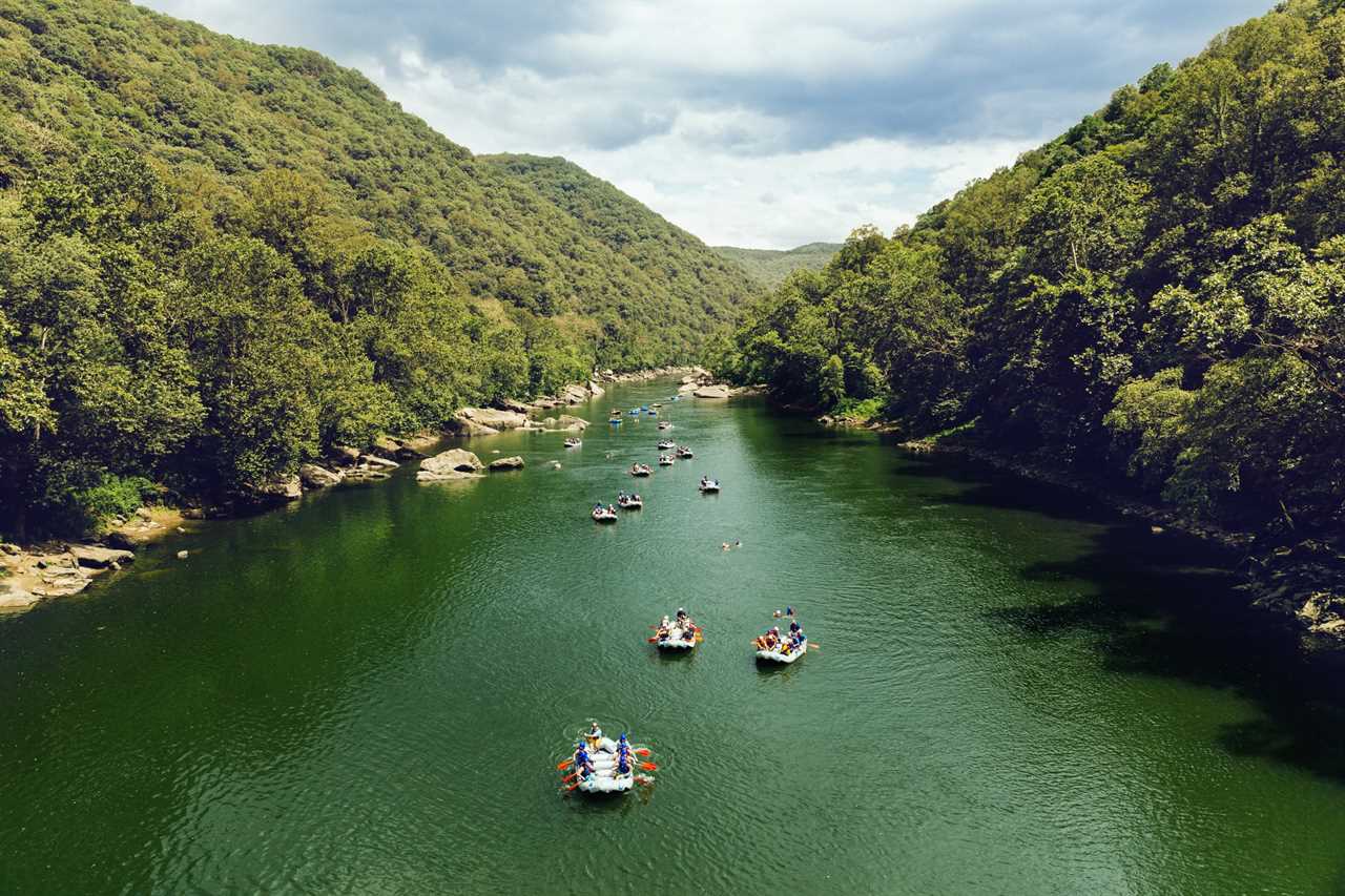 Paddlers rafting in river with forest surounding