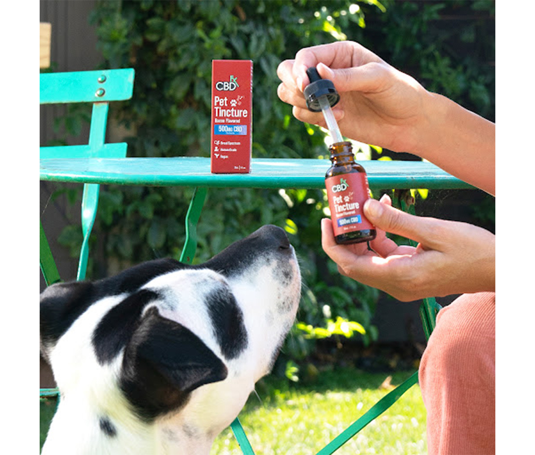 CBDfx Pet Tincture