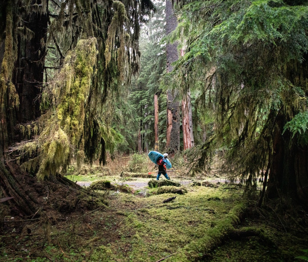 Kayaker carrying kayak through wooded area