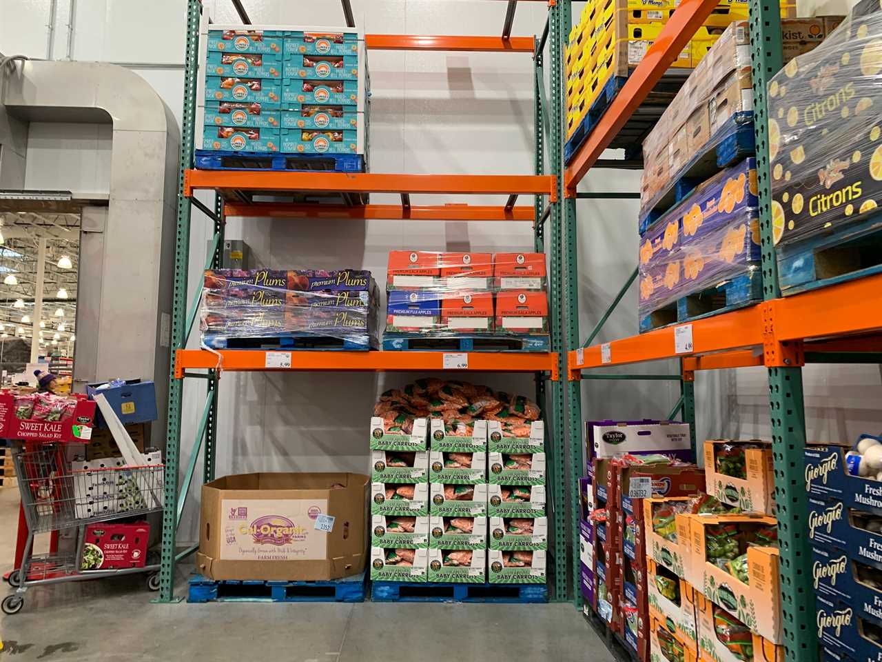 Costco tour Rochester NY