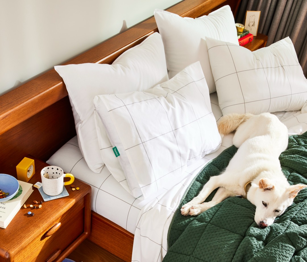 Pillows on bed with white dog on green comforter