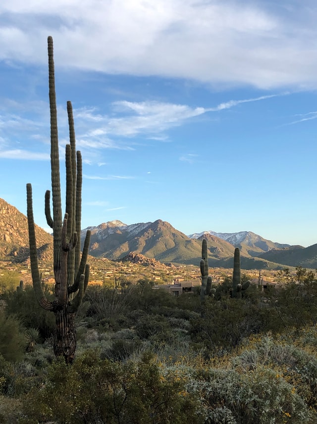 Reasons to Visit Scottsdale: Activities, Restaurants, and Shopping