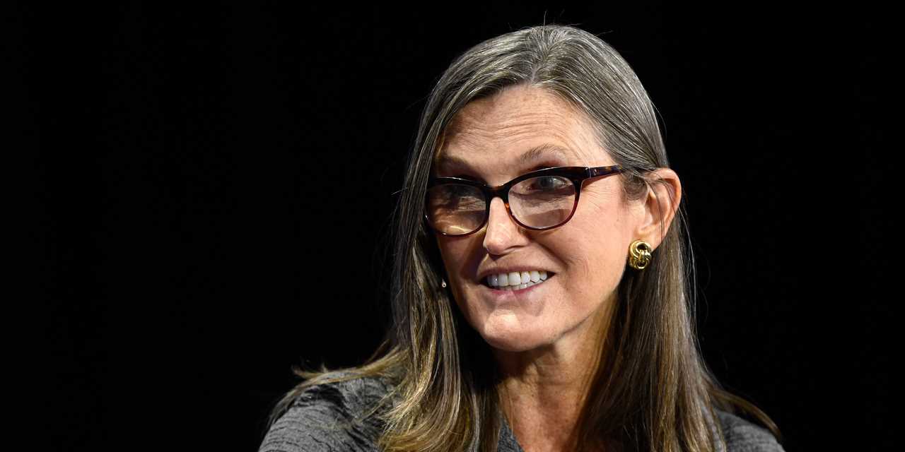 Cathie Wood of Ark Invest