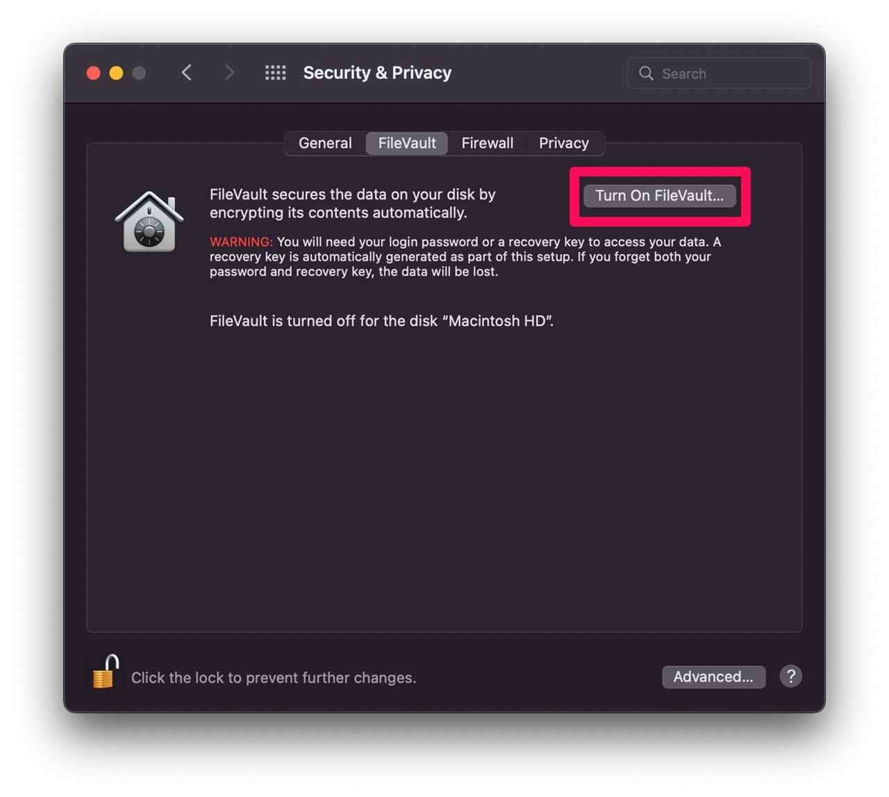 The "System & Privacy" window on Mac, with the "Turn on FileVault" option highlighted.