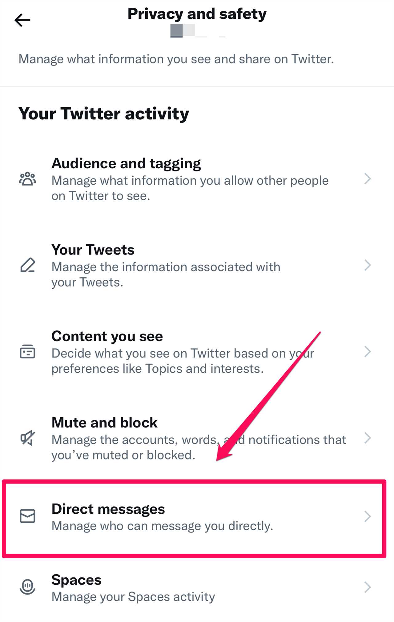Twitter’s DM options in the iOS app.