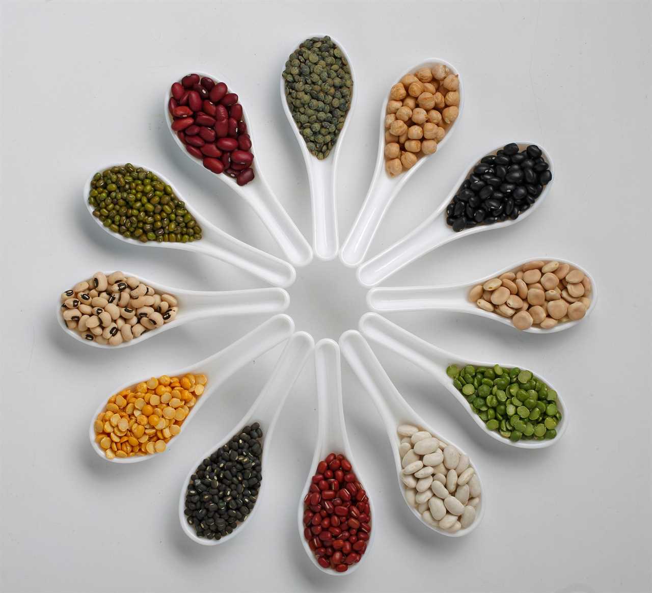 circle of spoons filled with dried beans peas and lentils