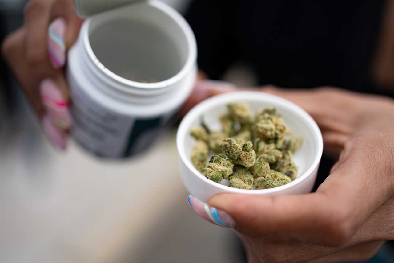 Cannabis