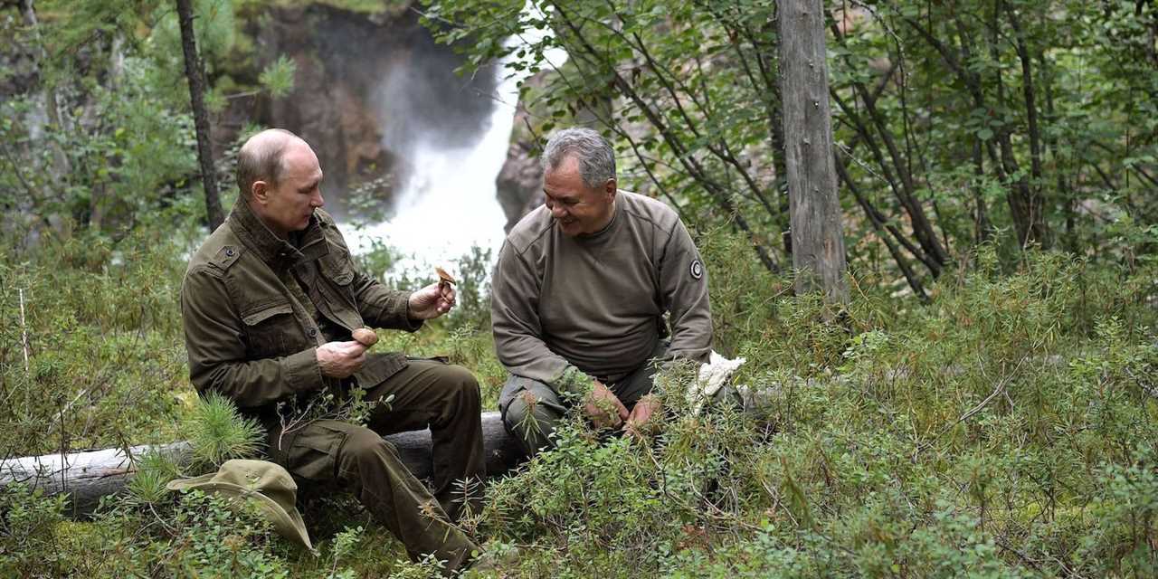 shoigu putin wild