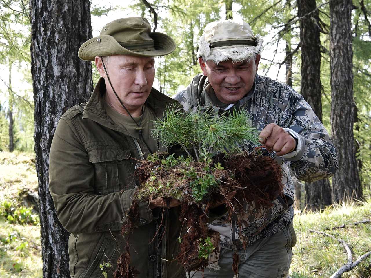 sergei shoigu putin