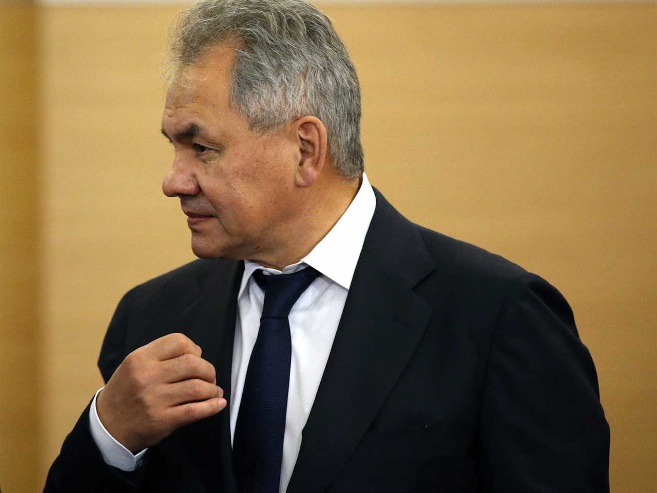 Russian Defence Minister Sergei Shoigu