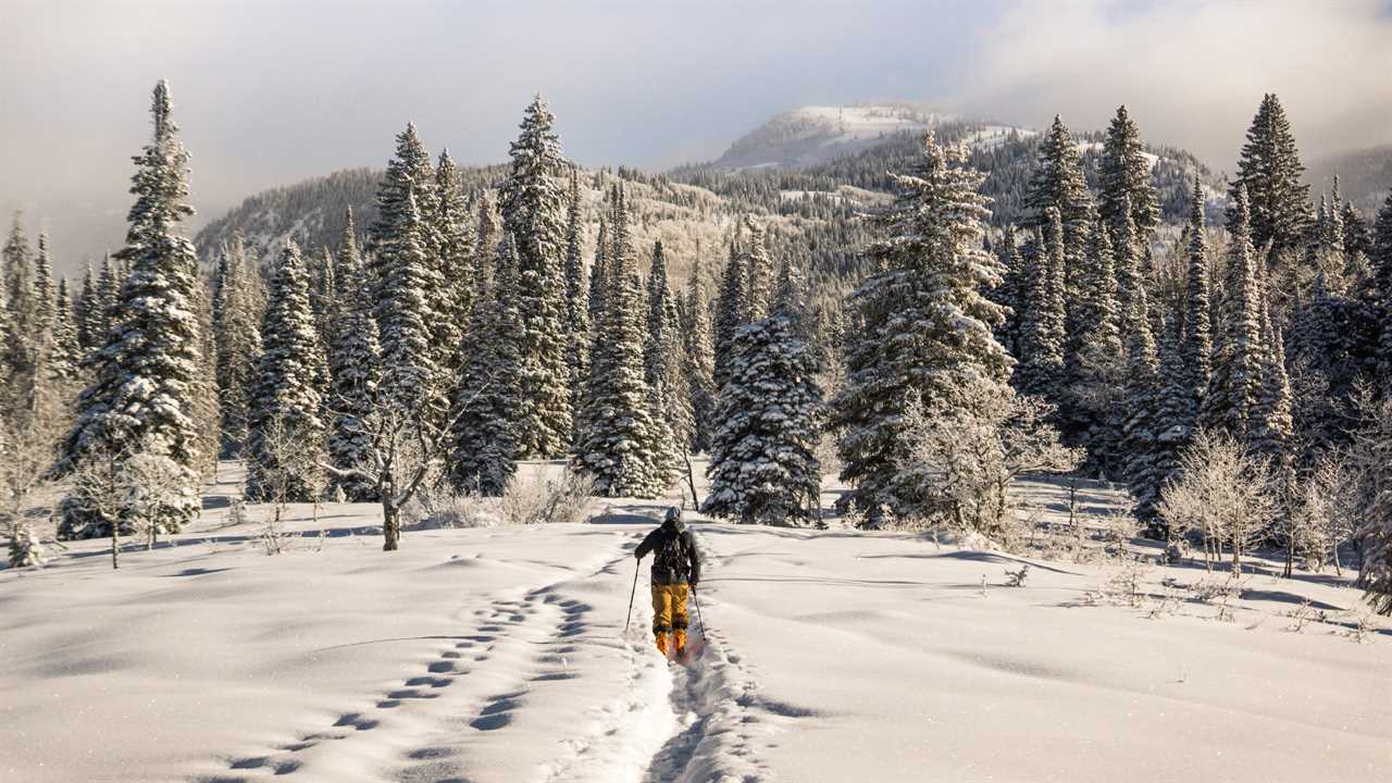 Man snowshoeing in backcountry