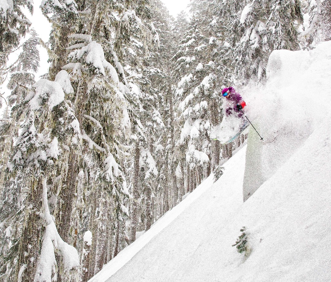 Skier taking a jump on a steep powder slope at White Pass Ski Area in Naches WA 