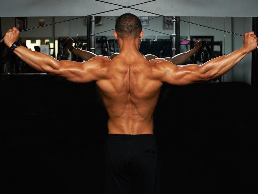 The 30 Best Back Exercises of All Time