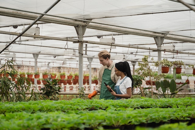 Why You Should Plan a Vacation to Fredericksburg