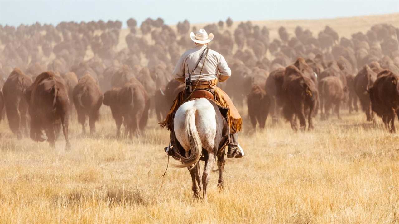 A cowboy on a horse follows a herd of buffalo.