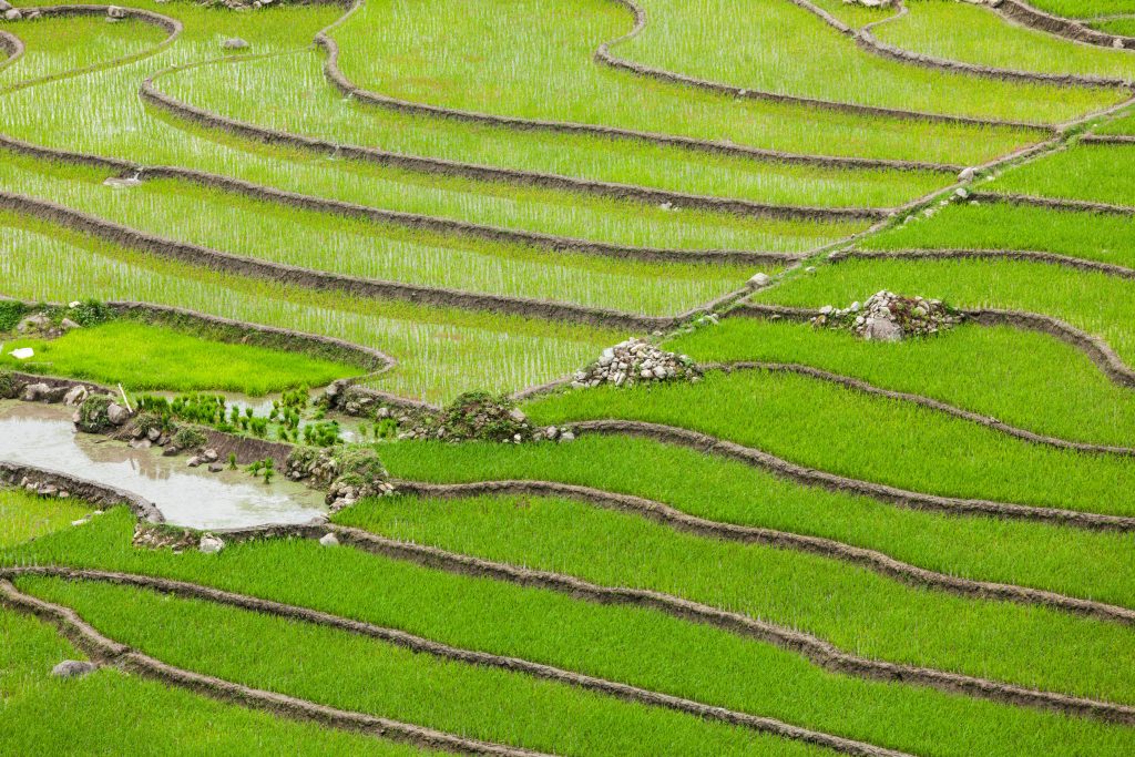 Frequently Asked Questions About Visas to Vietnam
