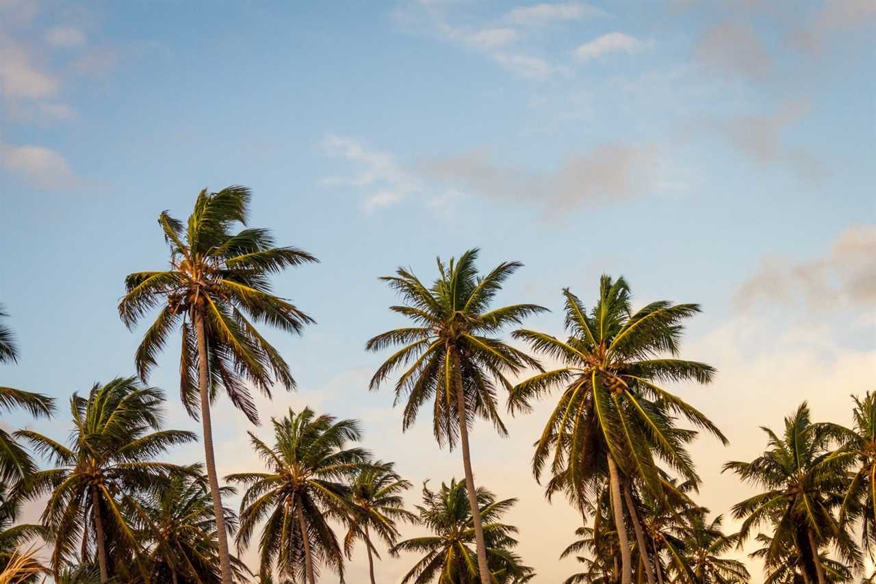 Coconut Point, Florida